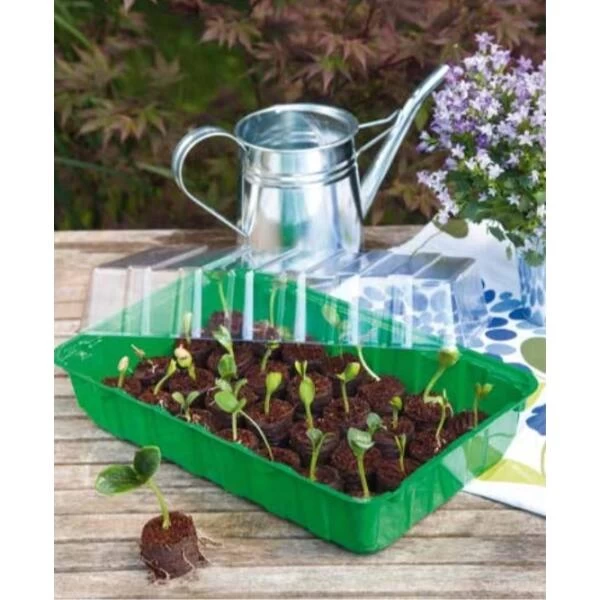 Zaaischaal Met Deksel 36 × 22 × 13 Cm - Afbeelding 2