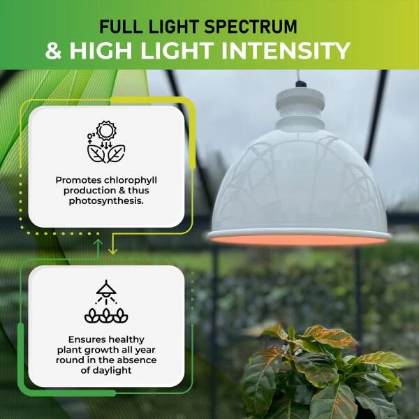 Groeilamp Led Florabooster 500 - 6,5W - Wit - Afbeelding 4