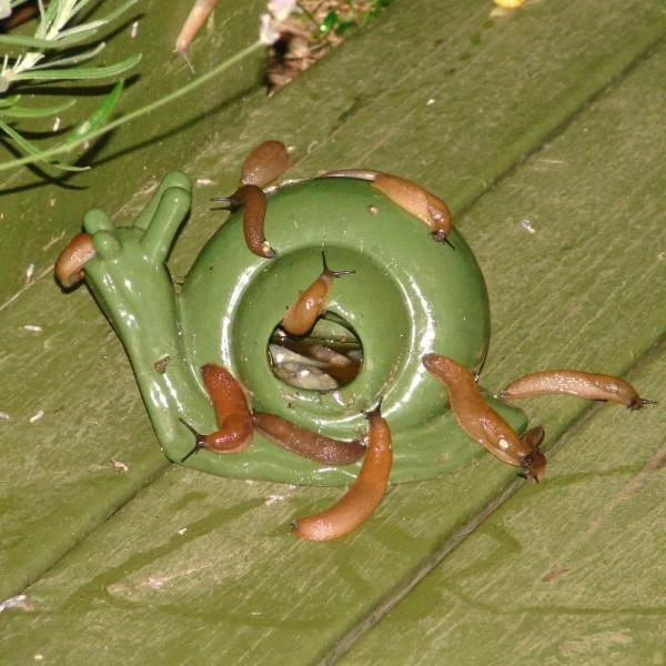 ESSCHERT DESIGN Slakkenval Keramiek - Groen - Afbeelding 3