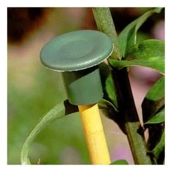 Flexibele Bamboestokdopjes - Set Van 10 Stuks