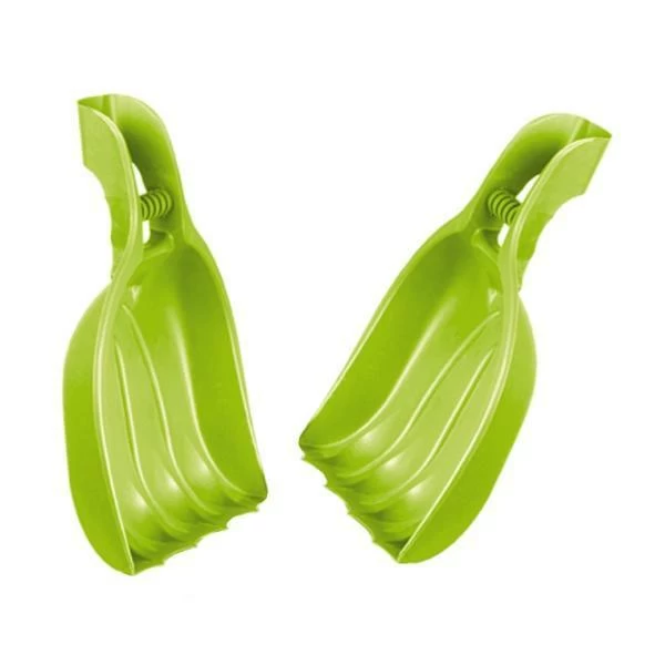 Bladscheppen Berenpoot - Grote Schephanden - Afbeelding 2