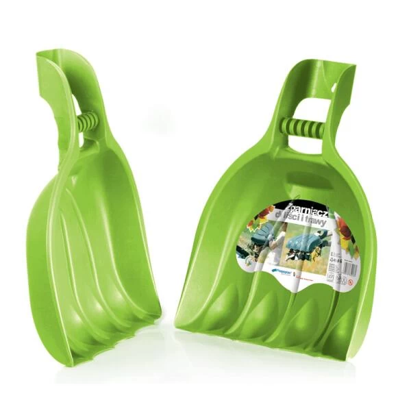 Bladscheppen Berenpoot - Grote Schephanden - Afbeelding 4