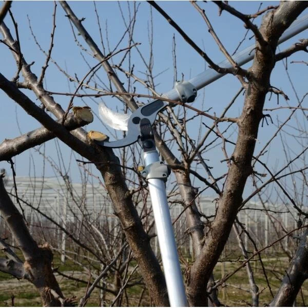 Bypass Takkenschaar Felco 220 - 80 Cm - Afbeelding 2