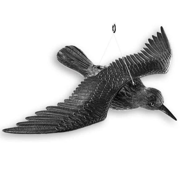 Duivenverjager Vliegende Raaf - Afbeelding 5