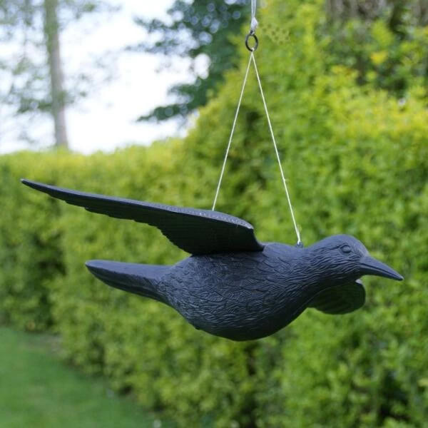 Duivenverjager Vliegende Raaf - Afbeelding 2