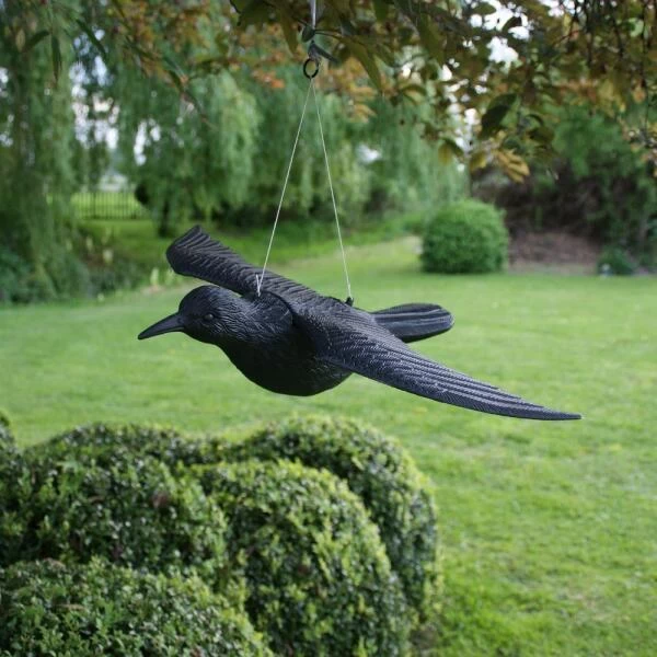 Duivenverjager Vliegende Raaf - Afbeelding 4