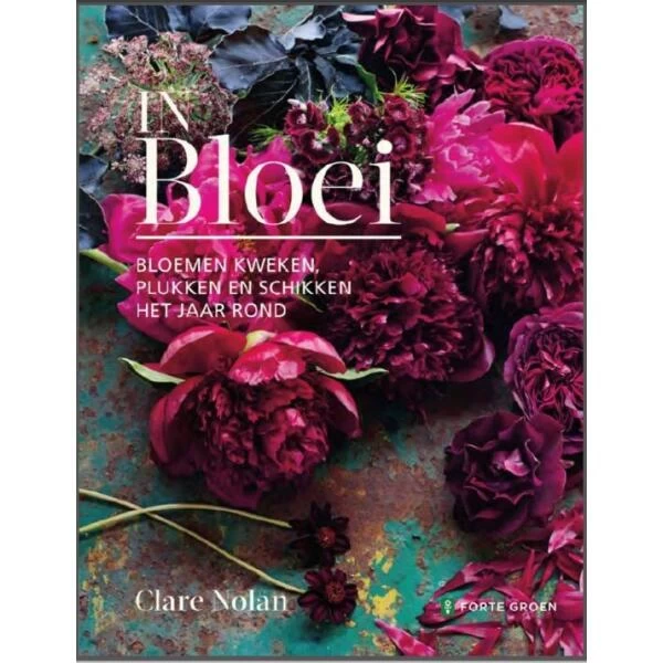 IN BLOEI Door Clare Nolan