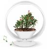 Mini Tuin Jardin Secret Met Verlichting En Bluetooth - Rond