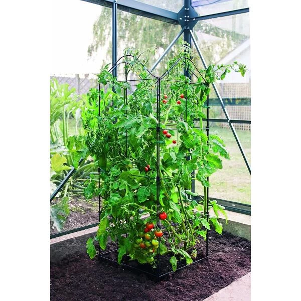 Klimplantensteun - Moduleerbare Steunpanelen - Afbeelding 2