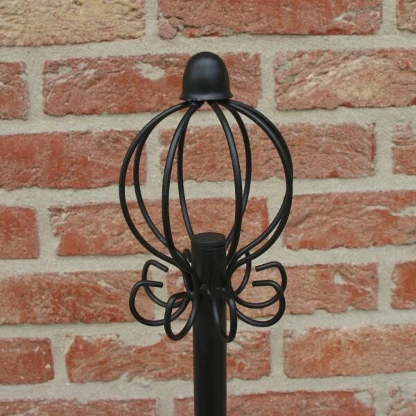 Klimsteun Sierlijke Piramide - Afbeelding 2