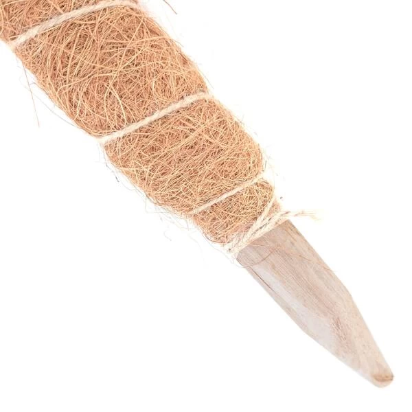 Kokos Kamerplantensteun - Plantstok Ø45 Mm × 1 M - Afbeelding 4