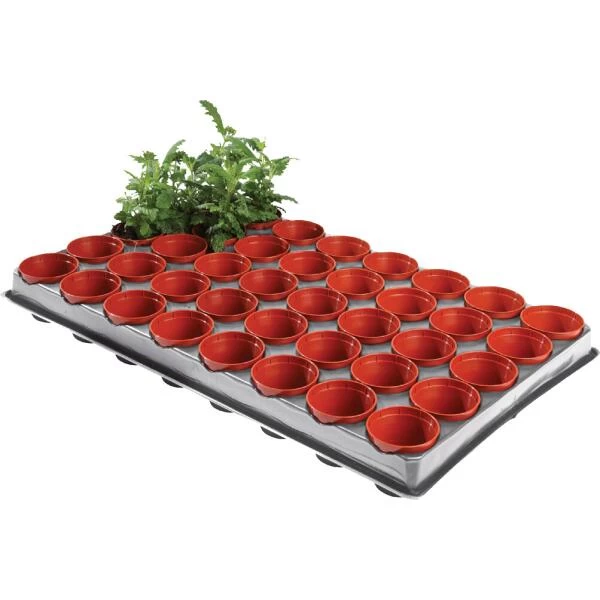 Tray Met 40 Kweekpotjes 6 Cm - Afbeelding 3