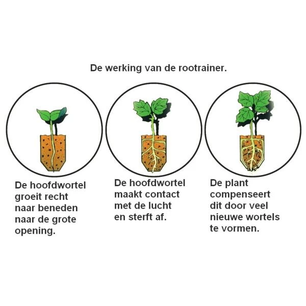 Kweektray Rapid Roots - 32 Cellen - Afbeelding 3