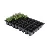 Kweektrays 40 Cellen - Professioneel - Set Van 5 Stuks