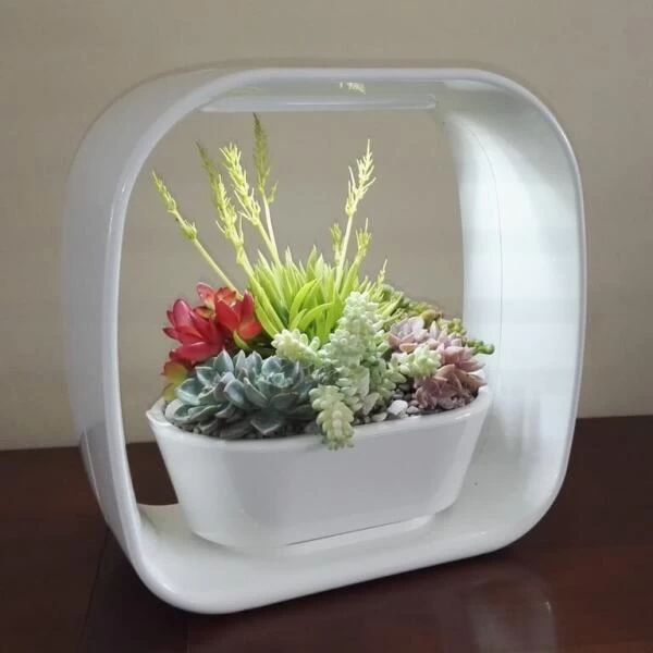 Mini Tuin 'Jardin Secret' - Ledverlichting - Afbeelding 2