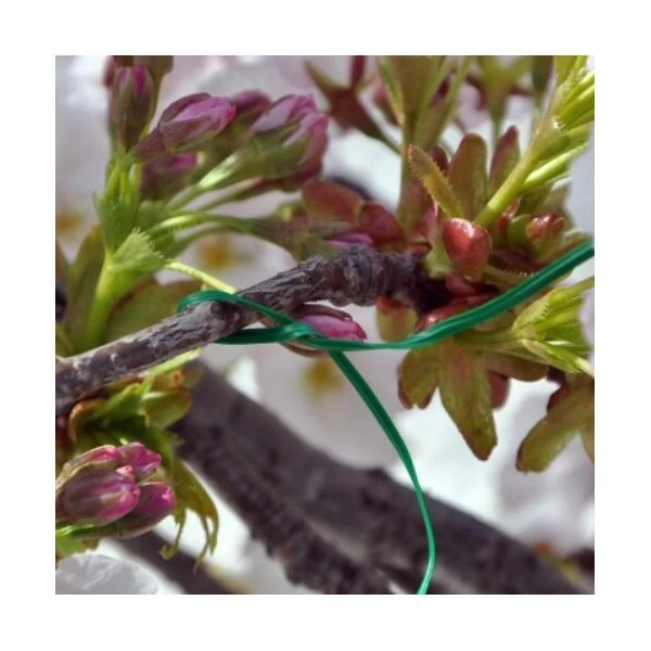 Multifunctionele Binders Geplastificeerde Metaal