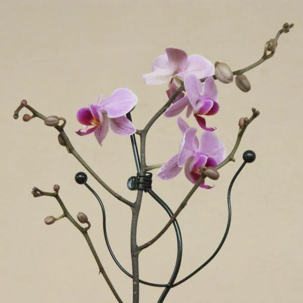 Orchideeënclips - Set Van 10 Stuks - Afbeelding 2