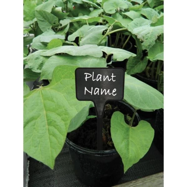 Plantenbordjes Zwart Kunststof - 14 Cm - Set Van 10 Stuks - Afbeelding 2