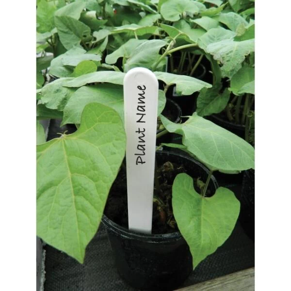 Plantenlabels Wit Kunststof - 20 Cm - Set Van 20 Stuks - Afbeelding 2