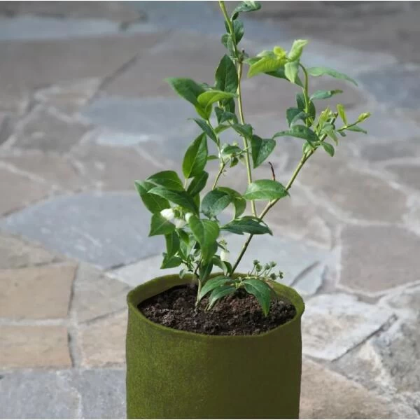 Plantzakken 5 Liter Vigoroot - Set Van 3 Stuks - Afbeelding 2