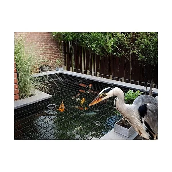 Reigernet - Vijvernet 3 M × 6 M - Afbeelding 2