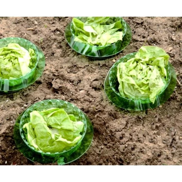 Slakken Beschermringen - Set Van 6 Stuks - Afbeelding 2