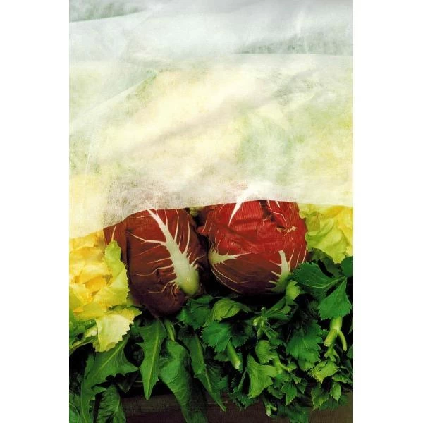 Vliesdoek - 10 × 2,4 M - 17 G/m²