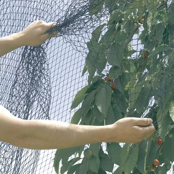 Vogelnet Beschermnet - Pronet 5 × 12 M - Afbeelding 2