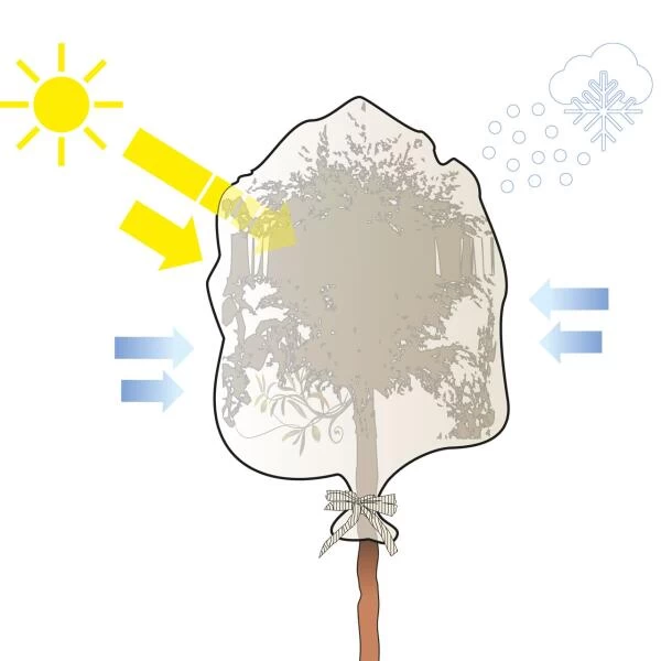 Vorsthoes Voor Planten - 200 × 240 Cm - Set Van 2 Stuks - Afbeelding 3