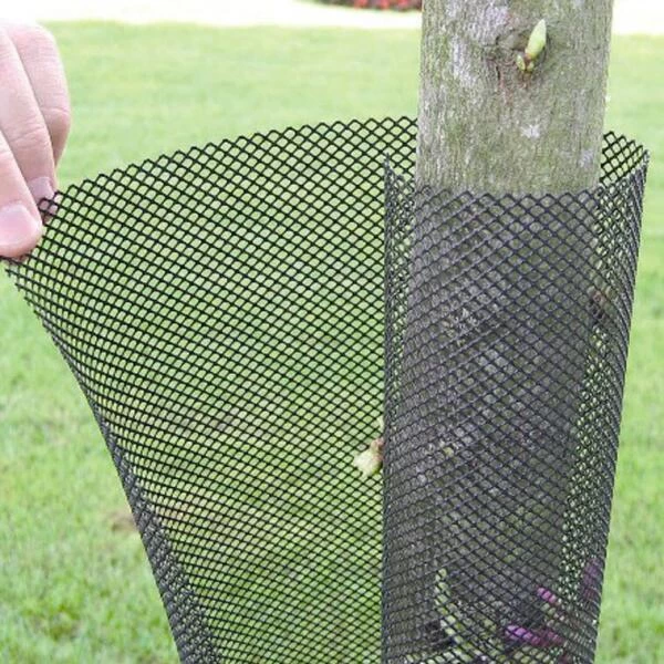 Boombescherming Gaas 55 Cm - Set Van 5 Stuks