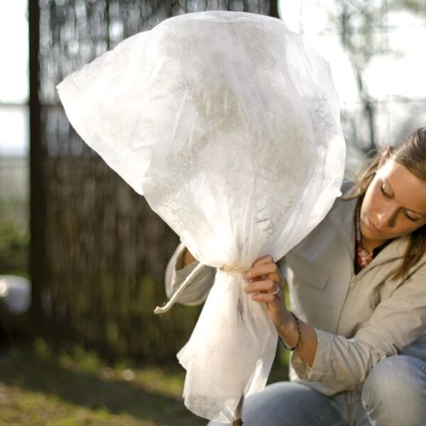 Vorsthoes Rozen - 80 × 75 Cm - Set Van 2 Stuks - Afbeelding 3